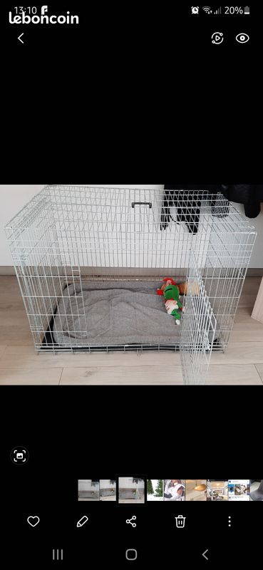 Cage pour chien (image 2)