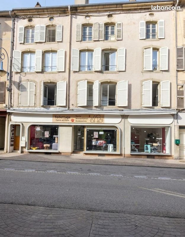 Immeuble 3 pièces 357 m² · à Mirecourt · 357 m² · 389 000 €