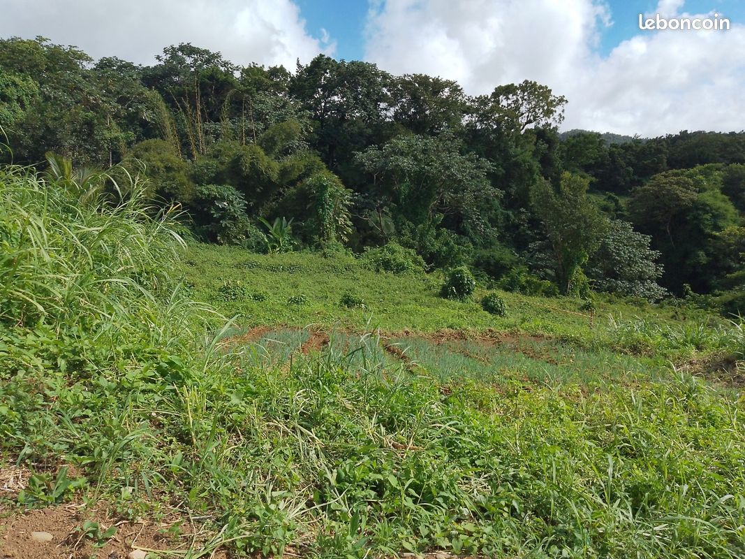 Terrain 583 m² Saint Claude · à Saint-Claude · 38 000 €