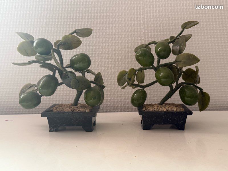 Lot de deux Arbres jade Bonsaï vintage (image 1)