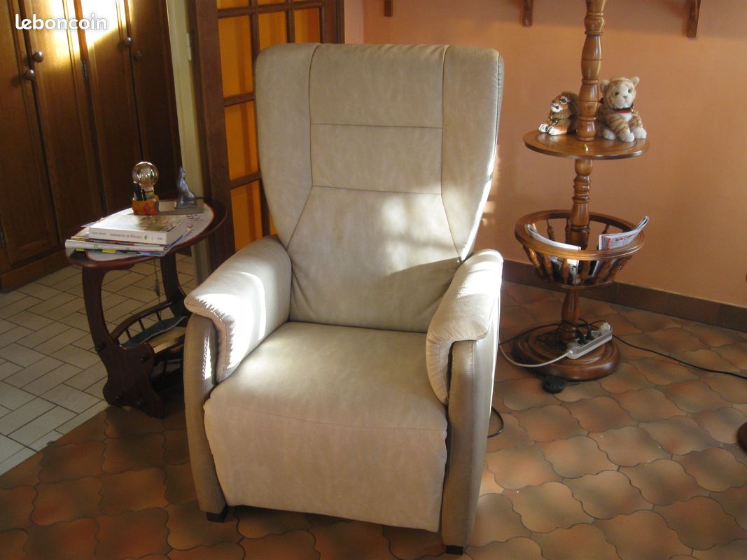 Vends fauteuil de relaxation (image 1)