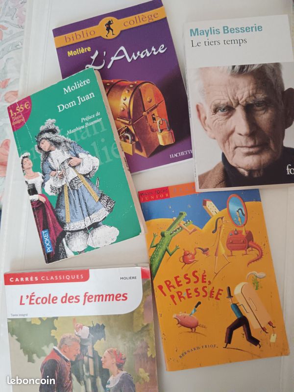 Allan Poe Mafalda, Molière Antologie poésie Française Ile au trésor A Chedid (image 2)