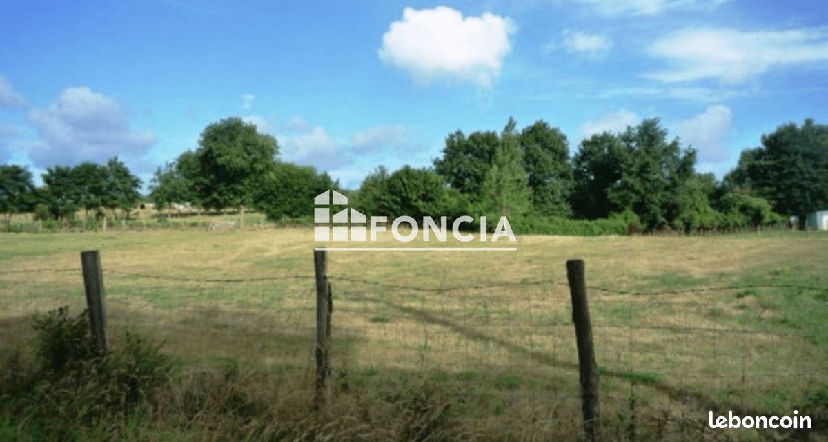 Terrain 1439 m² · à Beillé · 1 439 m² · 31 000 €