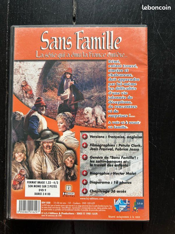 DVD « Sans famille » (image 2)