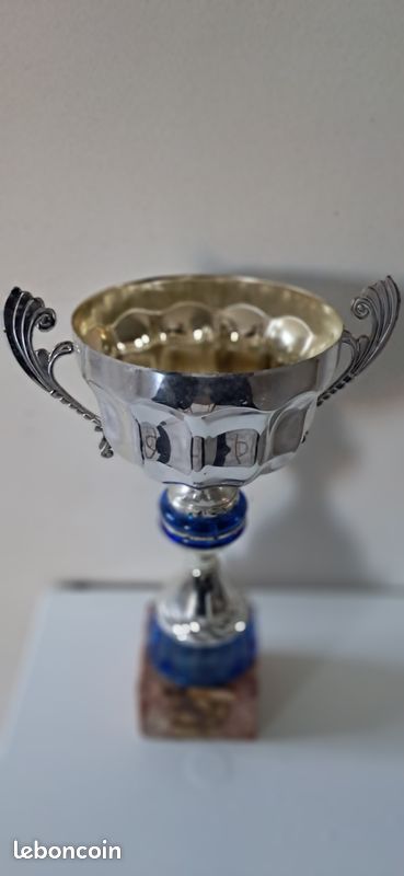 Coupes sportives Trophées (image 4)