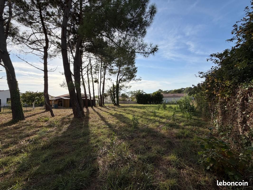 Terrain 924 m² Saint Palais Sur Mer · à Saint-Palais-sur-Mer · 299 900 €