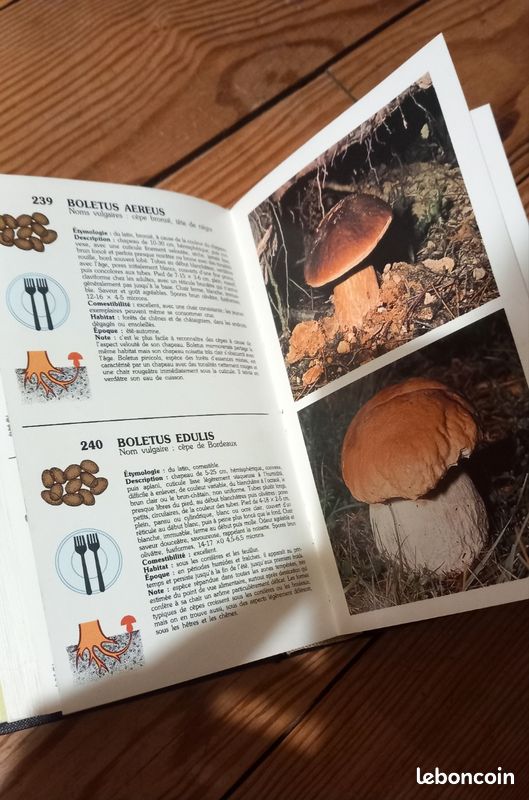 Le guide des champignons (image 6)