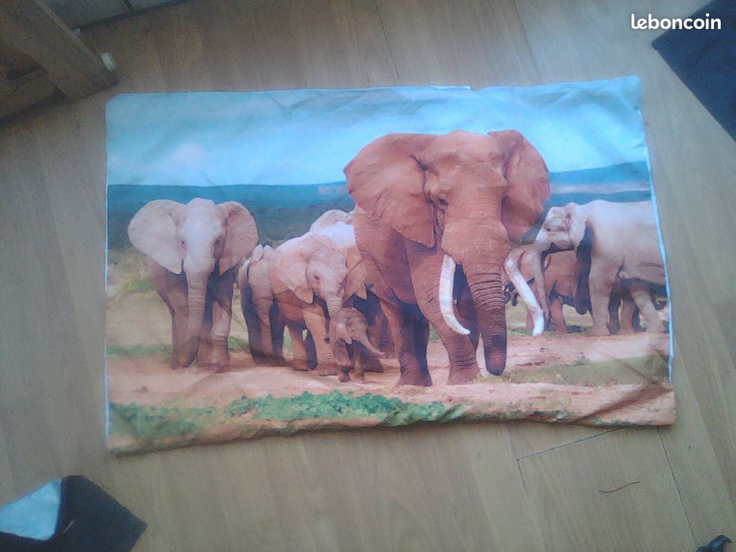 Parure de lit elephants (image 2)
