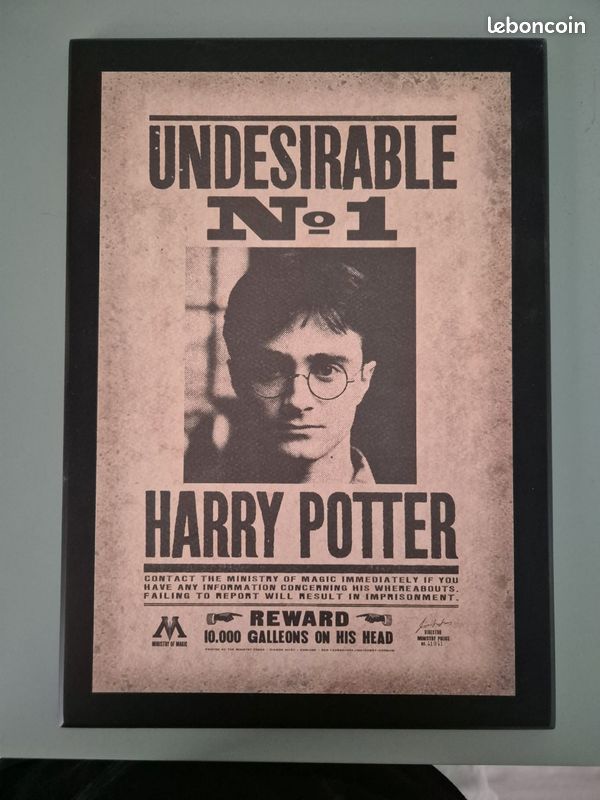 Cadre Harry Potter (image 1)