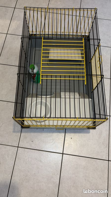 Cage pour cochon d’Inde (image 3)