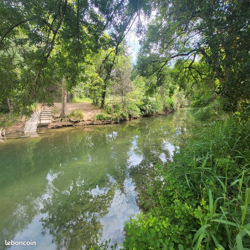 Nid d'Amour en Provence verte (image 9)