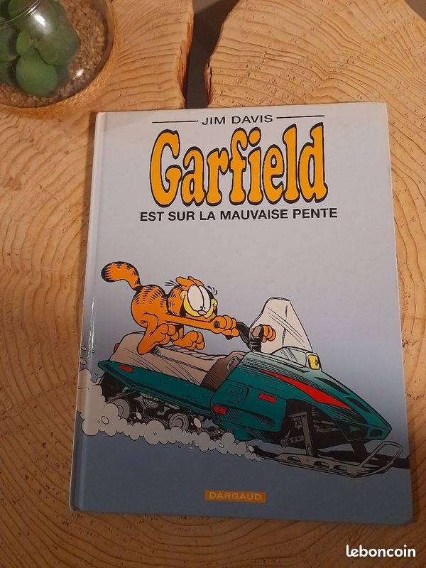 Garfield : Est sur la mauvaise Pente N°25 - BD (image 1)