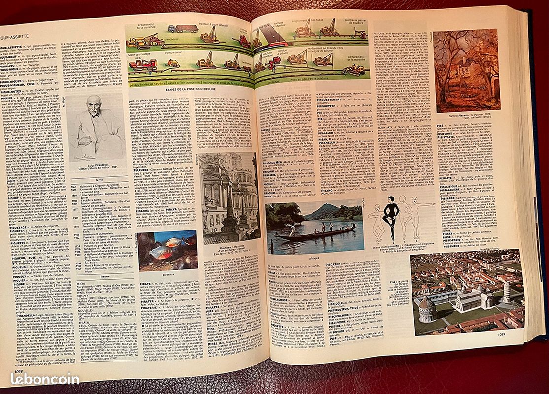 Dictionnaire encyclopédique en couleurs Larousse L1 (image 3)