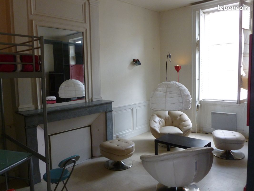 Loft meubléT2 Poitiers hyper centre wifi - Poitiers 86000 (image principale 0)