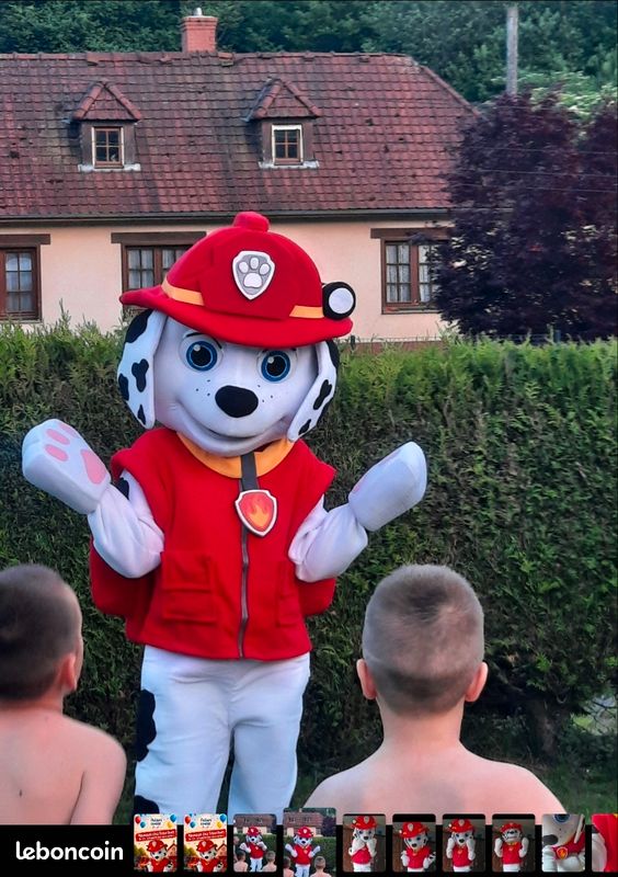 Mascotte / déguisement (image 2)