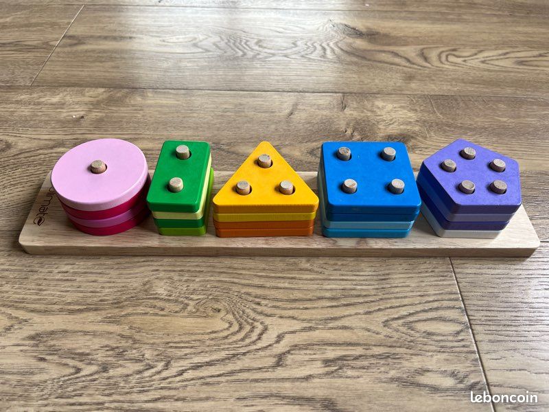 Puzzle d'encastrement géométrique en bois - Esprit Montessori (image 1)