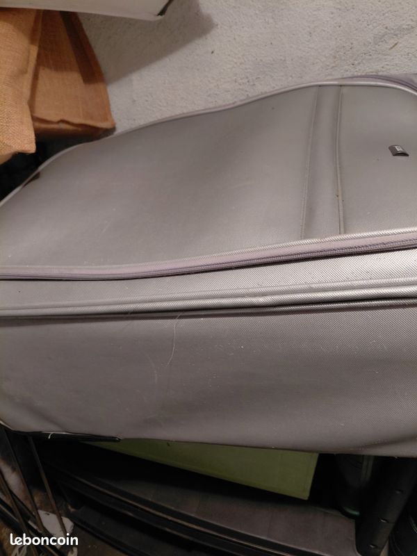 Valise (image 1)