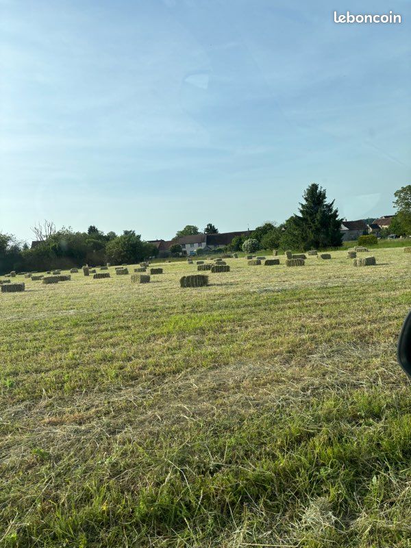 Petit ballots de foin (image 2)