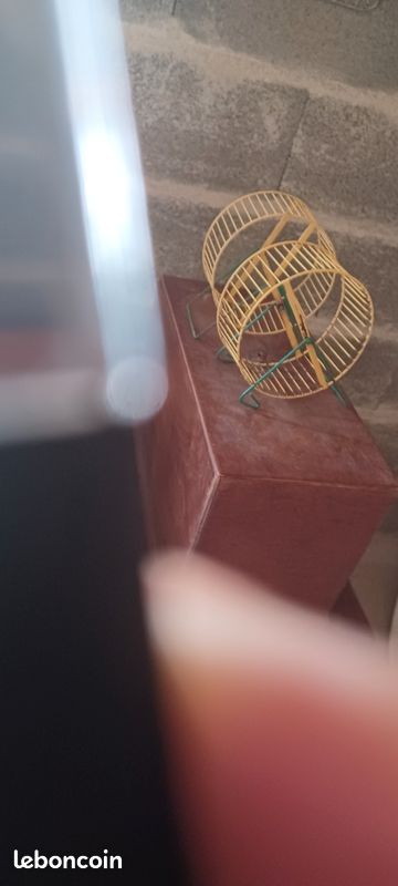 Roue hamsters (image 2)