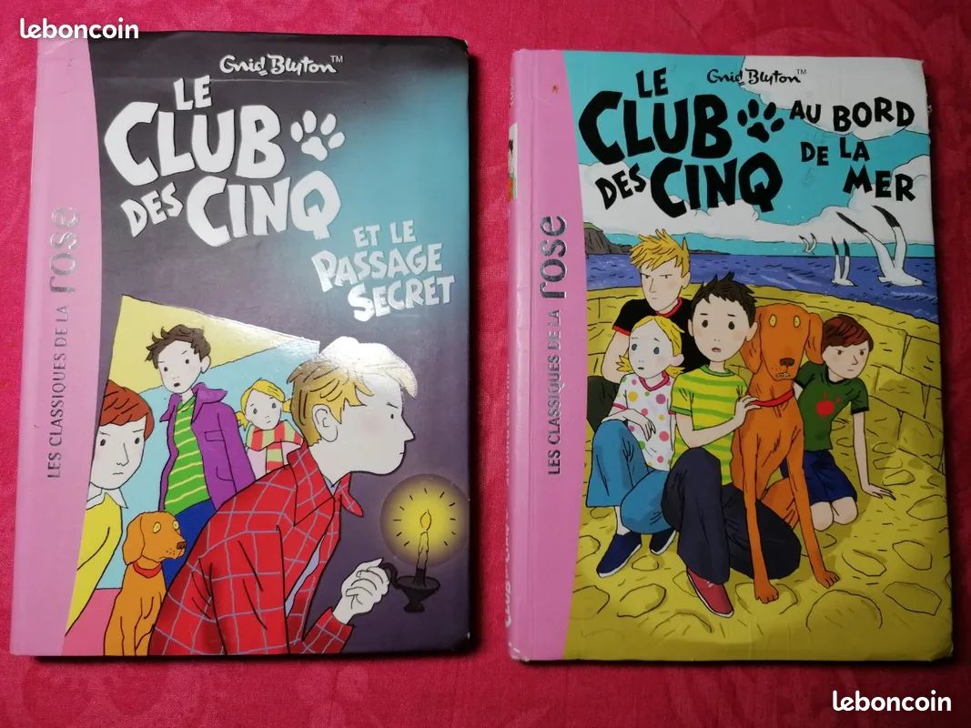 Lot de 2 livres club des 5 bibliothèque rose (image 1)