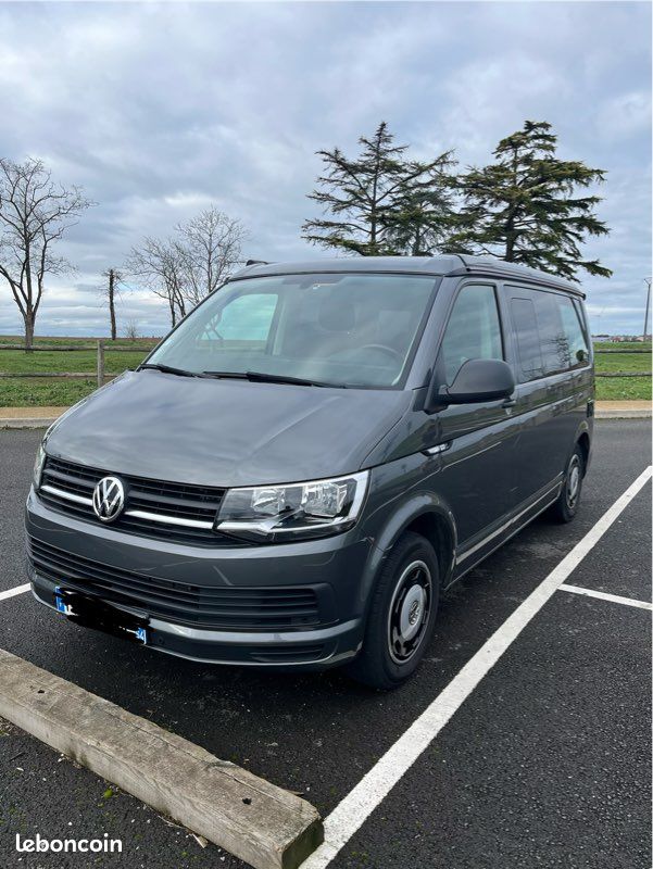 Volkswagen California Origins (image 1)