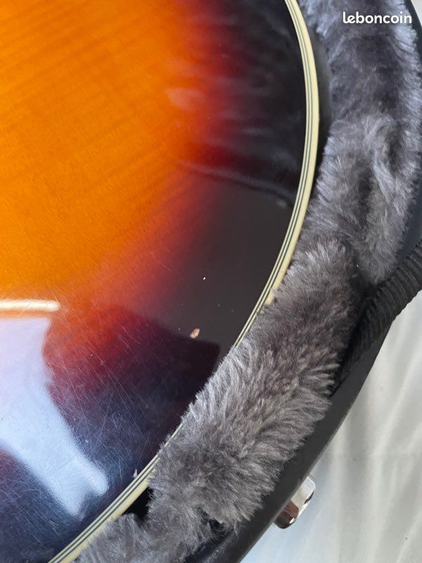 Basse fretless Warwick star bass (image 10)