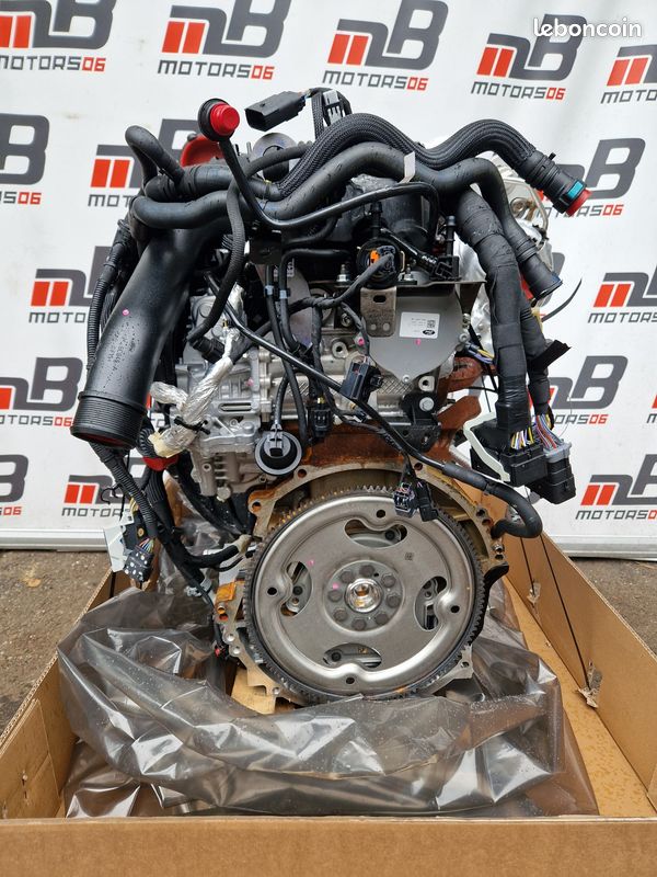 Moteur Ford 2.0 EcoBlue (60 Tkm) Pour Transit/Tourneo - Complet
