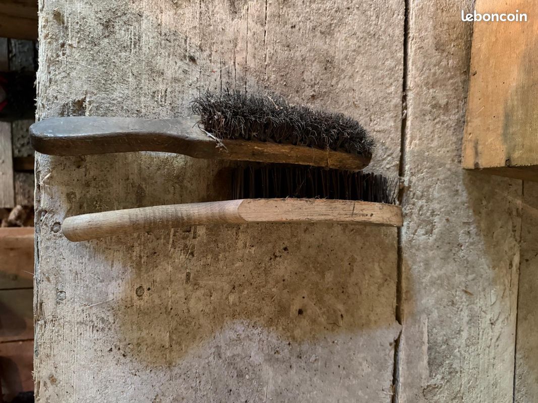 Lot d'outils agricoles, d'atelier et de jardin anciens – Vintage & décoration (image 8)