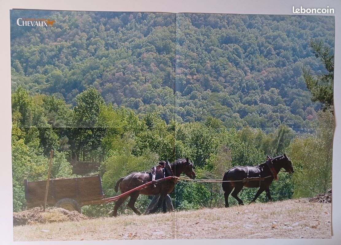 Miniature résine Cheval de Castillon (image 6)