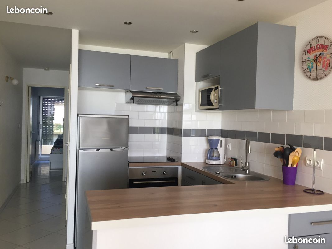 Canet plage, bel appartement taversant,front de mer (image 10)