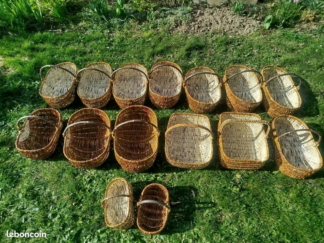 Paniers osier (image 3)