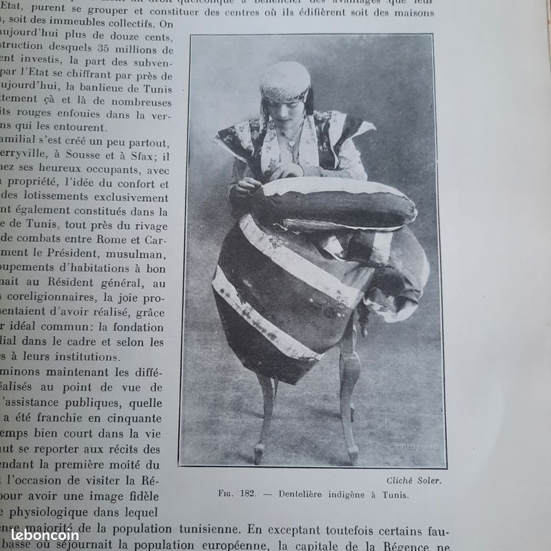 Le domaine colonial Français. Afrique du Nord et Afrique Noire. 1929 (image 10)