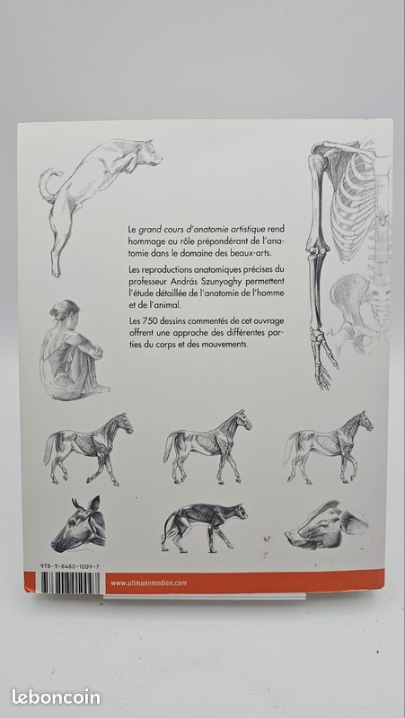 Grands cours d'anatomie artistique - L'Homme et l'animal (image 2)