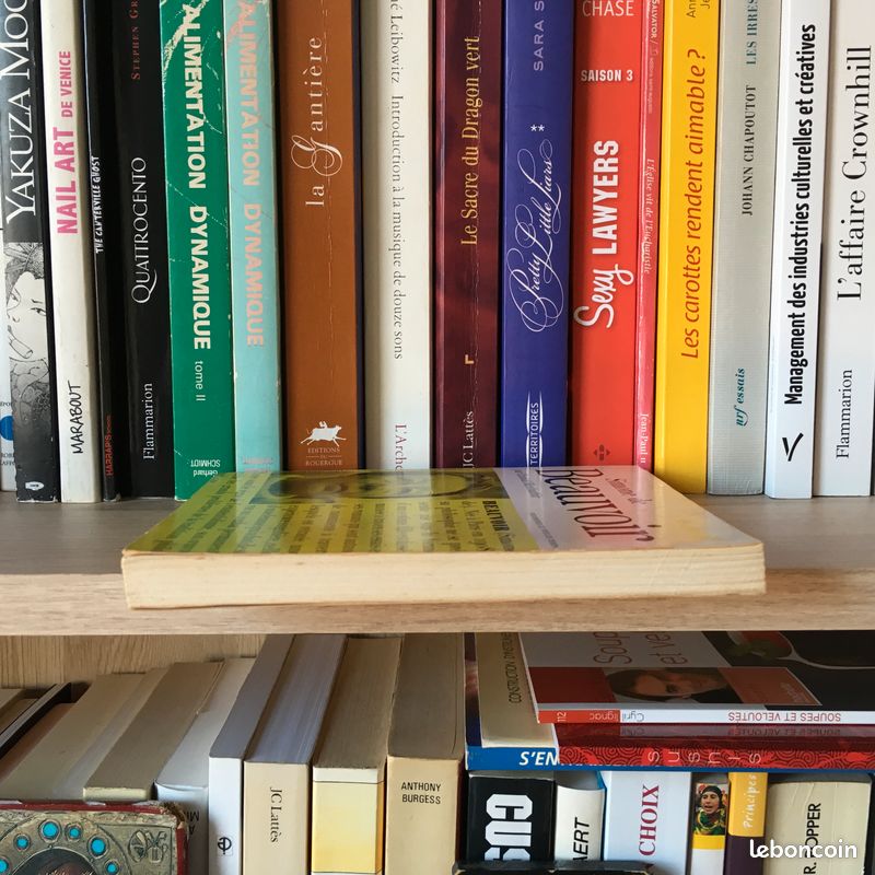Simone de Beauvoir ou le souci de différence - Chantal Moubachir (image 4)