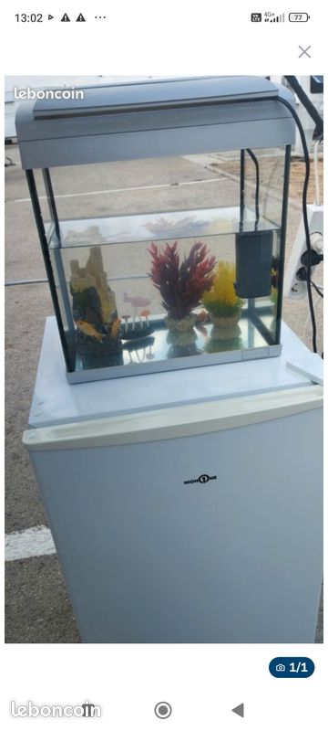 Aquarium (image 1)