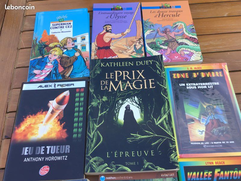 Lot livres jeunesse (image 1)