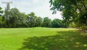 Terrain 747 m² Baziege · à Baziège · 110 000 €