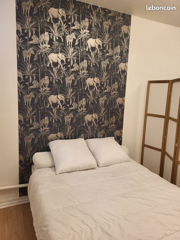 Appartement 1 pièce 20 m² · à Saint-Étienne · 20 m² · 380 €