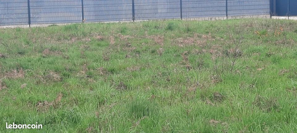 Terrain 490 m² Lanton · 190 000 €