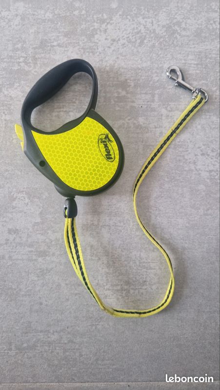 Laisse pour chien ou chat réfléchissant extensible FLEXI (image 1)