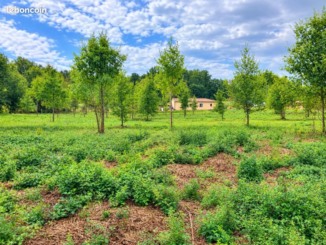 Terrain 5 771 m² Larzac · 50 000 €