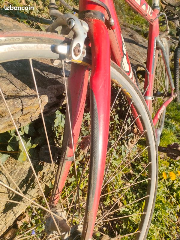 Bandes De Survêtement Ciclolinea Vintage Années 80, Campagnolo Cinelli Cle'ment Colnago