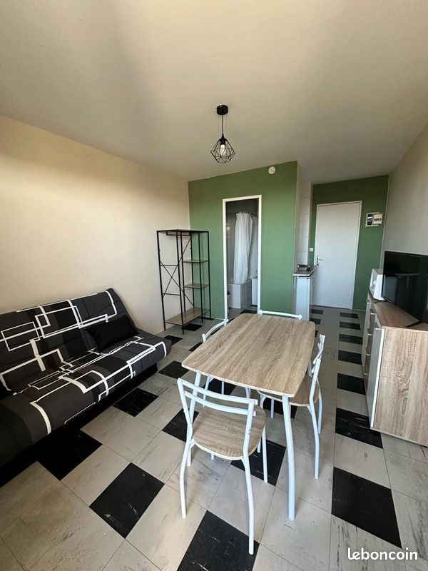 Studio meublé rénové + parking sécurisé (proche fac/école) - Agen 47000 (image principale 0)