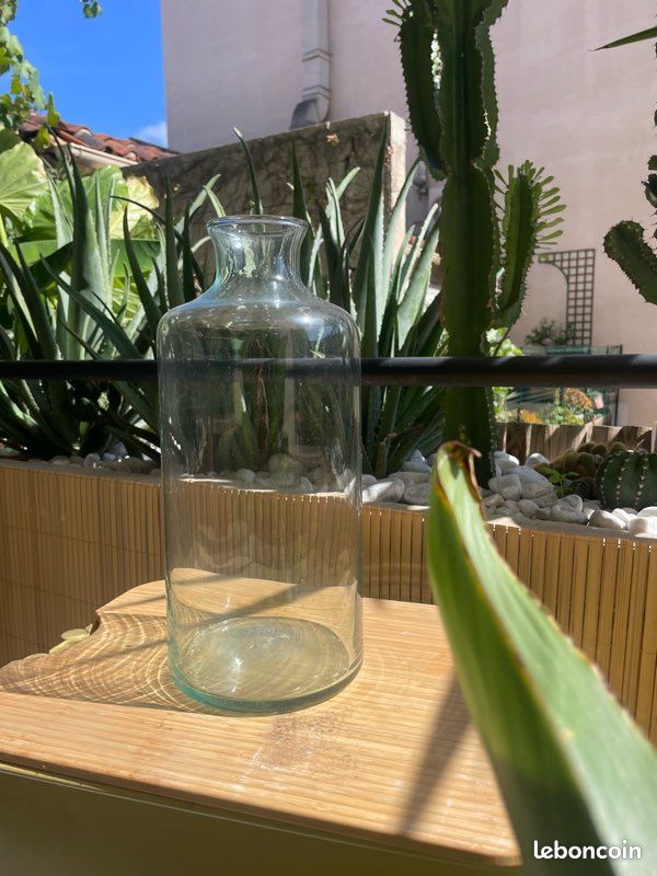 Vase en verre (image 1)