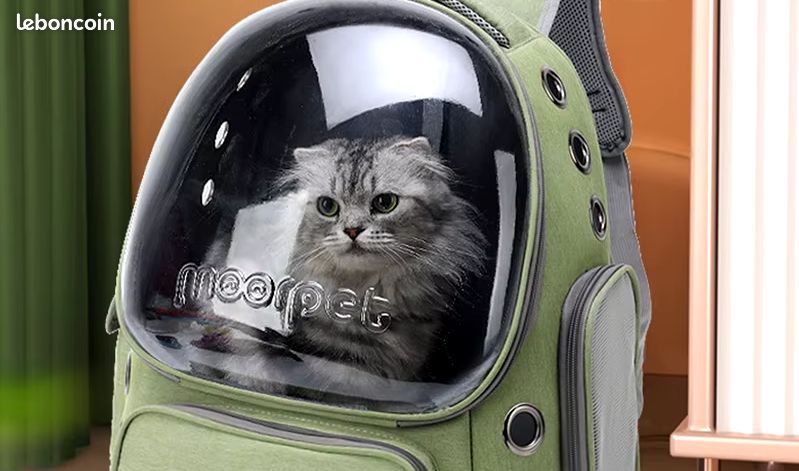 Sac Transport Chat BandouliÃ¨re Sac BandouliÃ¨re Pour Chihuahua