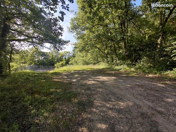 Terrain 3 268 m² Sarrant