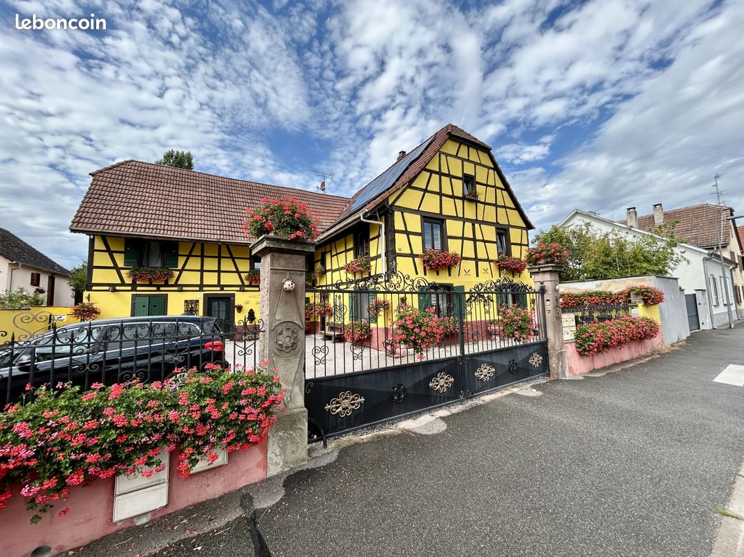 Immeuble 15 pièces 390 m² · à Andolsheim · 390 m² · 652 000 €