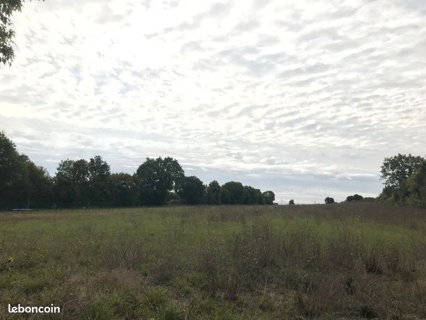 Terrain 3 247 m² Saint Saturnin Du Bois