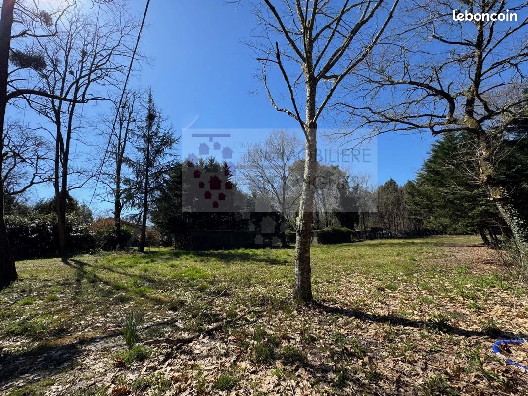 Terrain Saint-Selve · 177 500 €