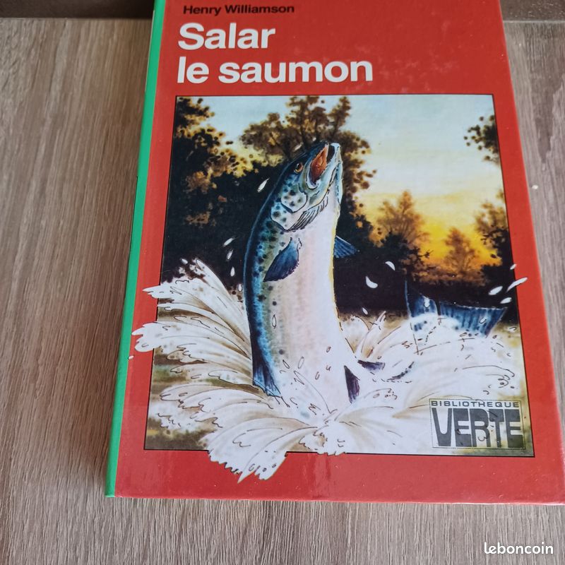 6 livres Bibliothèque Verte (image 6)